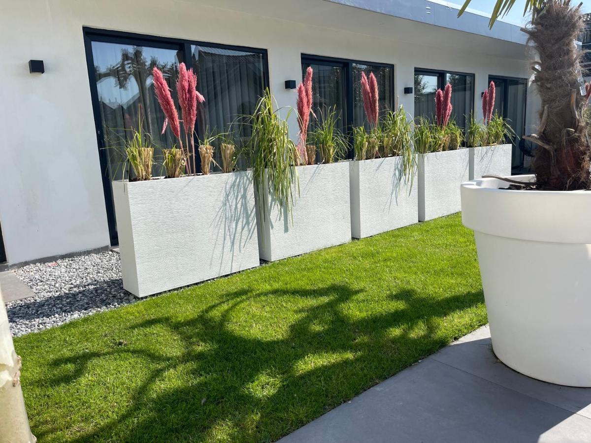 B&B Bubbles&Bites Oostvoorne Luaran gambar